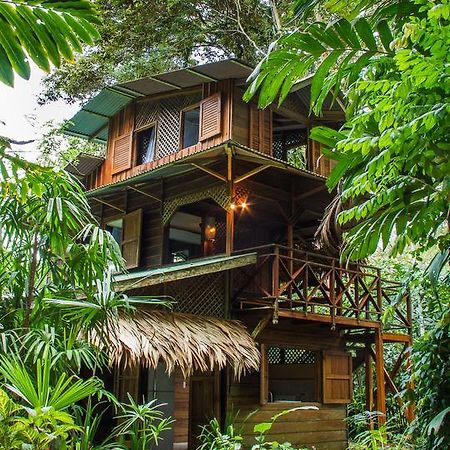 Finca Chica Lodge & Villas Puerto Viejo de Talamanca Oda fotoğraf
