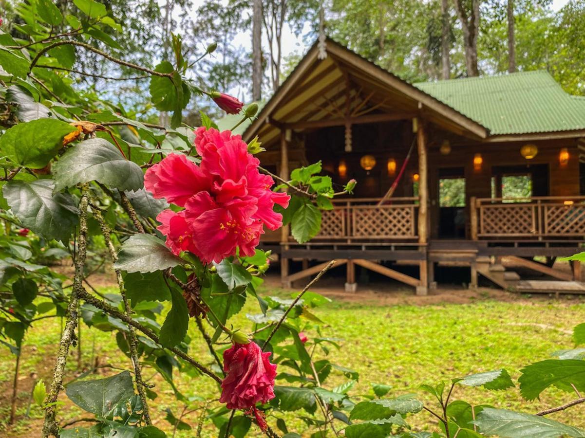 Finca Chica Lodge & Villas Puerto Viejo de Talamanca Dış mekan fotoğraf