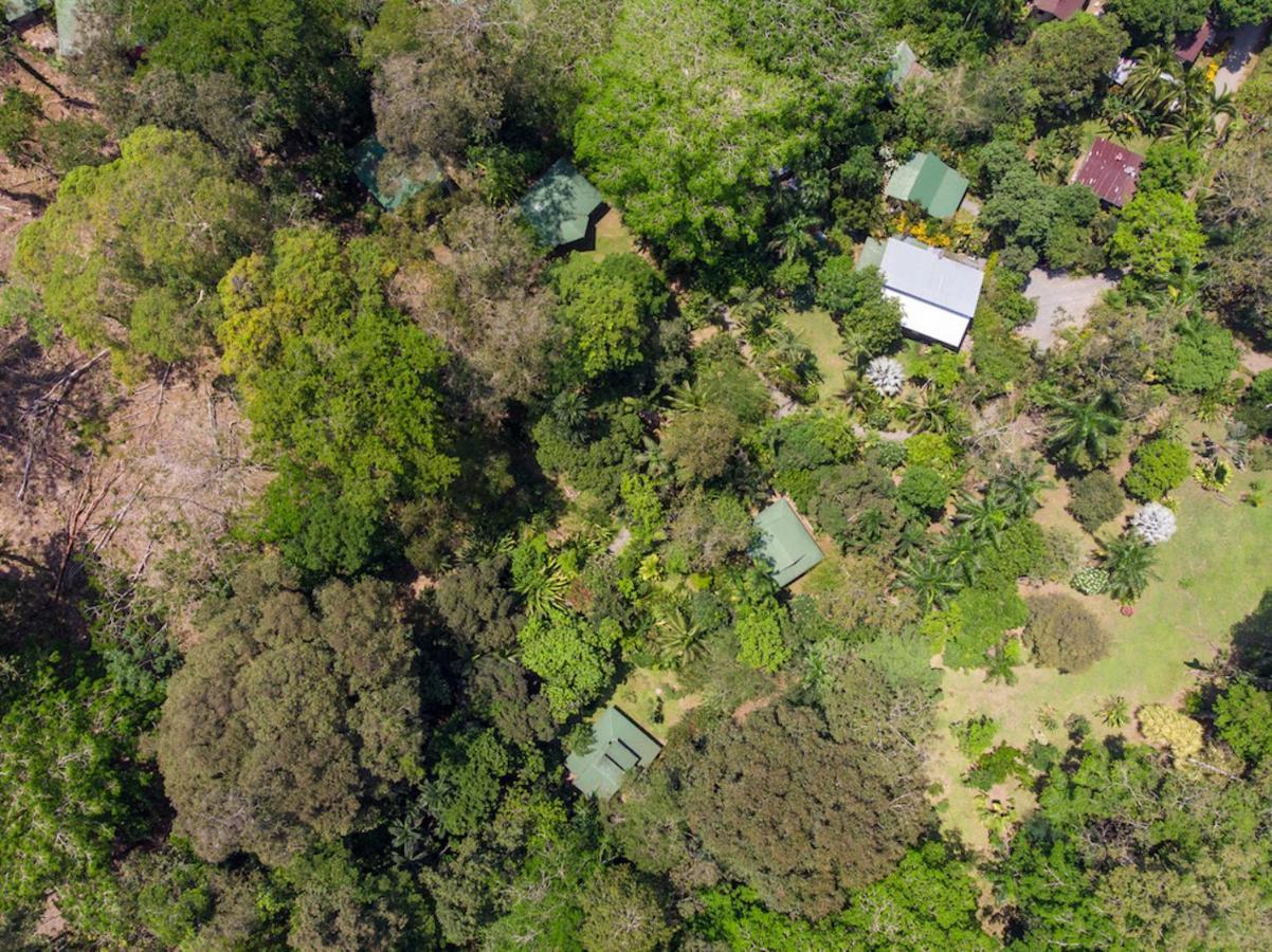 Finca Chica Lodge & Villas Puerto Viejo de Talamanca Dış mekan fotoğraf