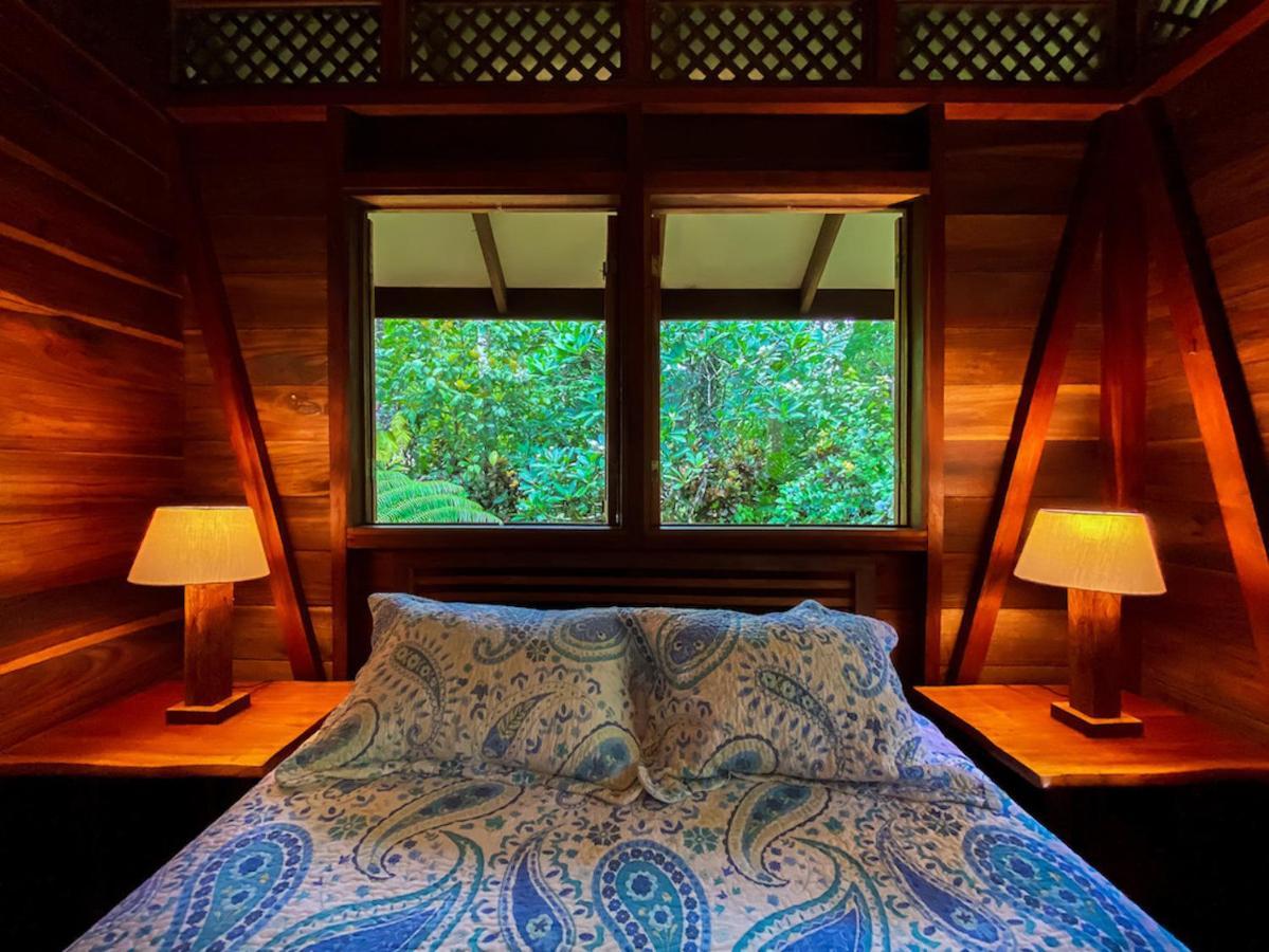 Finca Chica Lodge & Villas Puerto Viejo de Talamanca Dış mekan fotoğraf