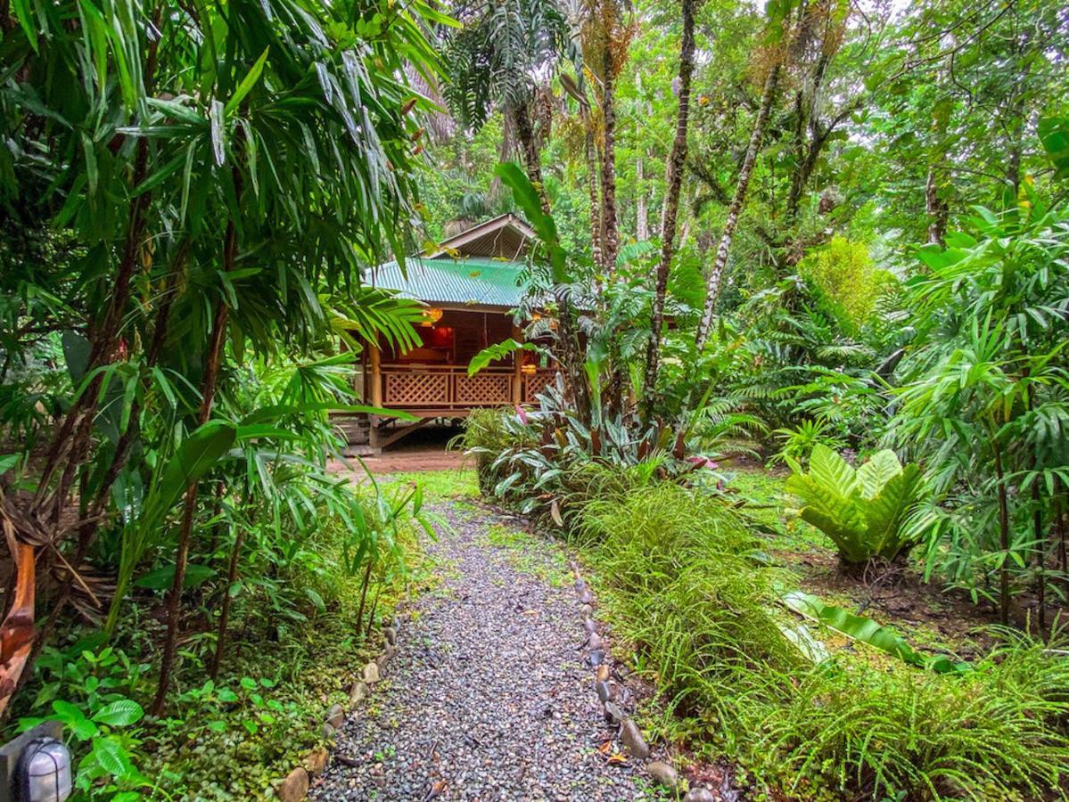 Finca Chica Lodge & Villas Puerto Viejo de Talamanca Dış mekan fotoğraf