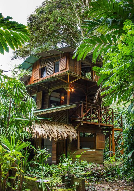 Finca Chica Lodge & Villas Puerto Viejo de Talamanca Oda fotoğraf